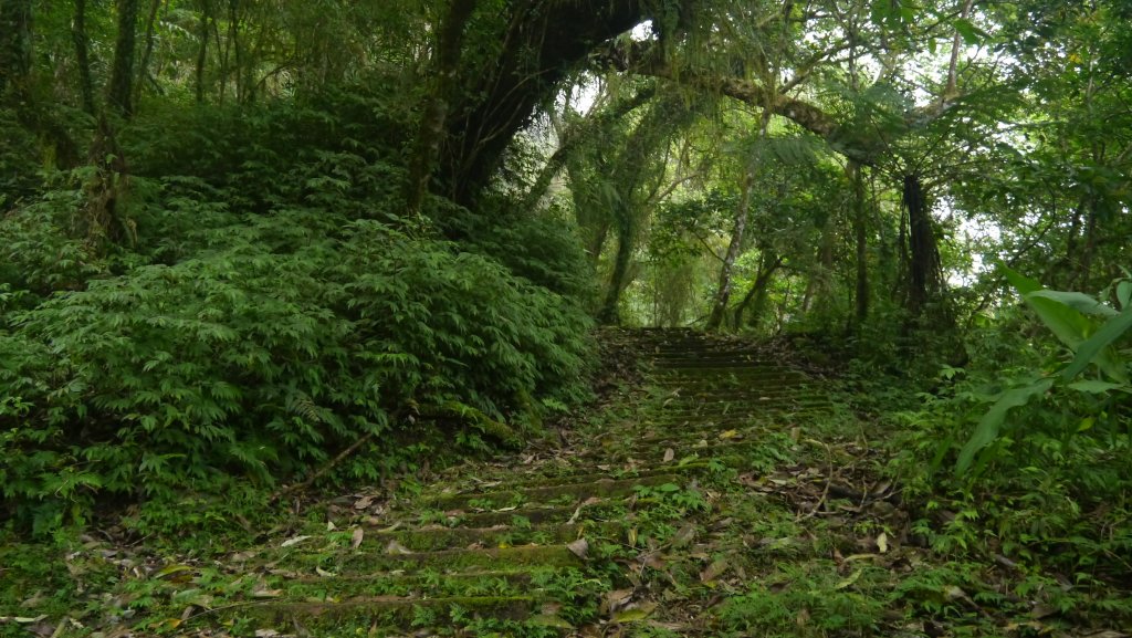 安通越嶺古道(西段)_1379452