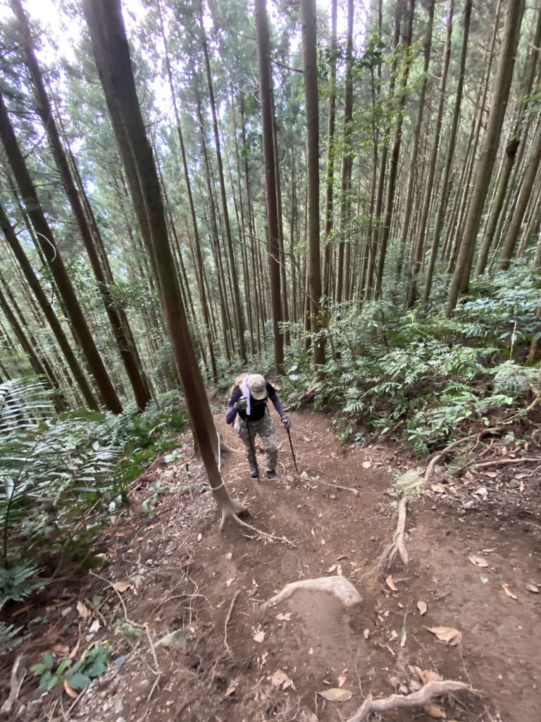 高島縱走_1336228