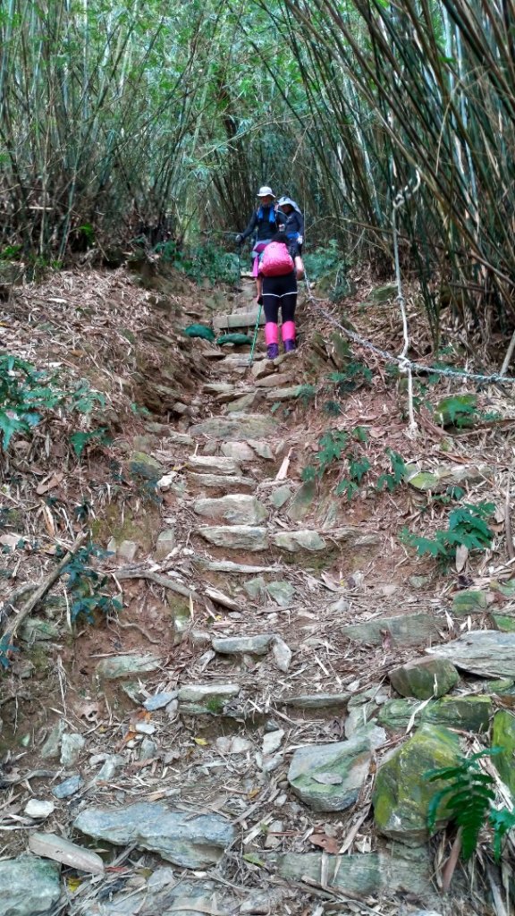 小百岳【尾寮山】_905261