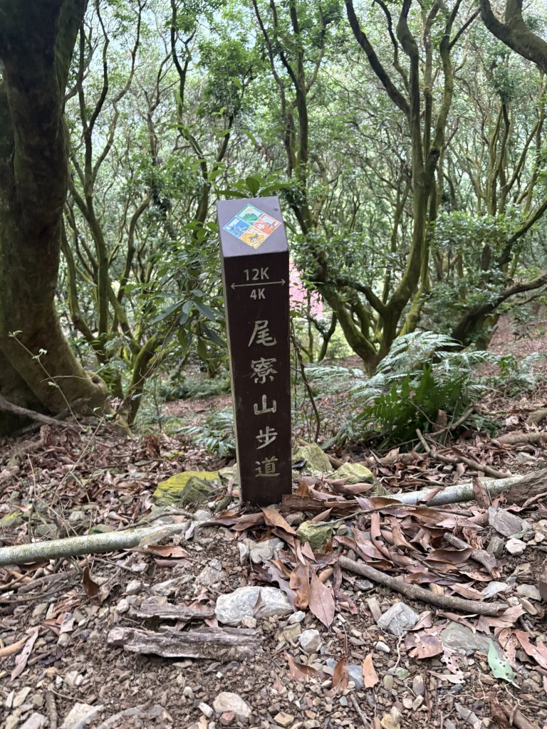 20251227尾寮山登山步道_2970501
