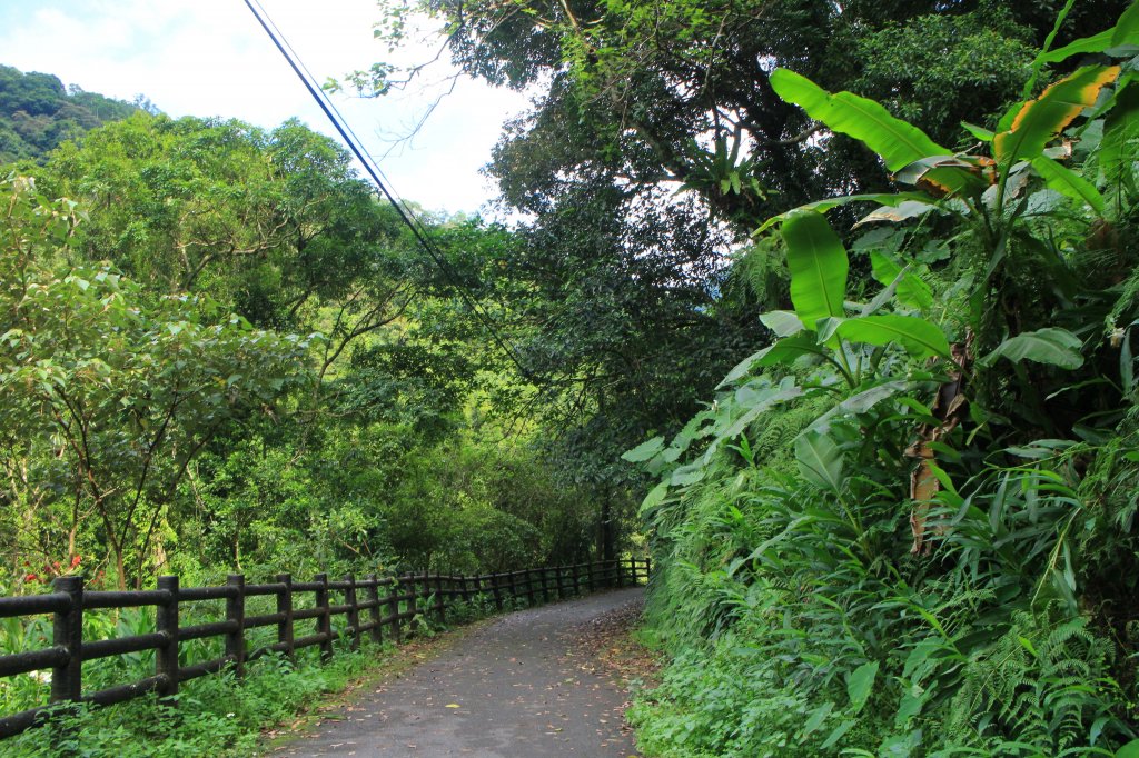 烏來內洞森林遊樂區 20181021_444565