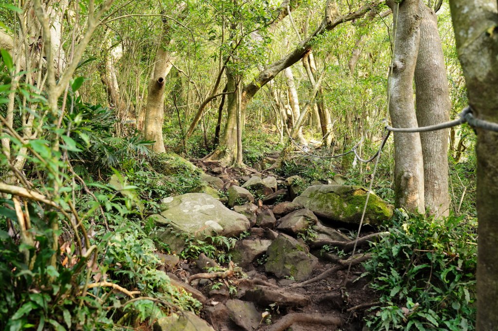新北 八里 觀音山、牛港稜山_2681327