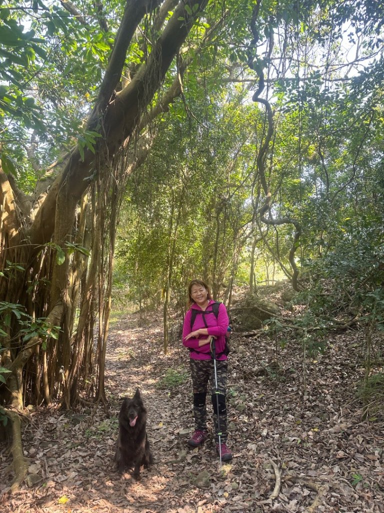 高雄美濃月光山_2734926