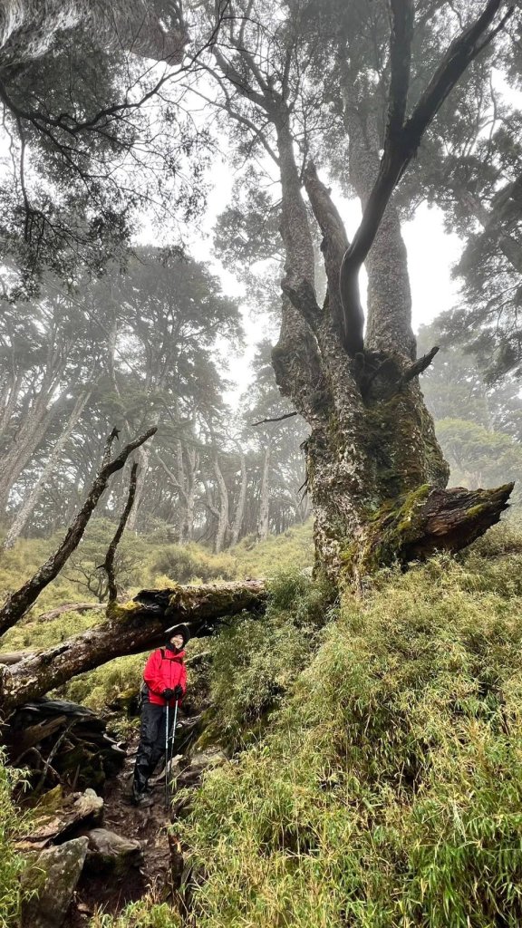 🌈2/1-2小關山神池上小關山🌈FB：熊熊趴爬走 歡迎加入_2706253