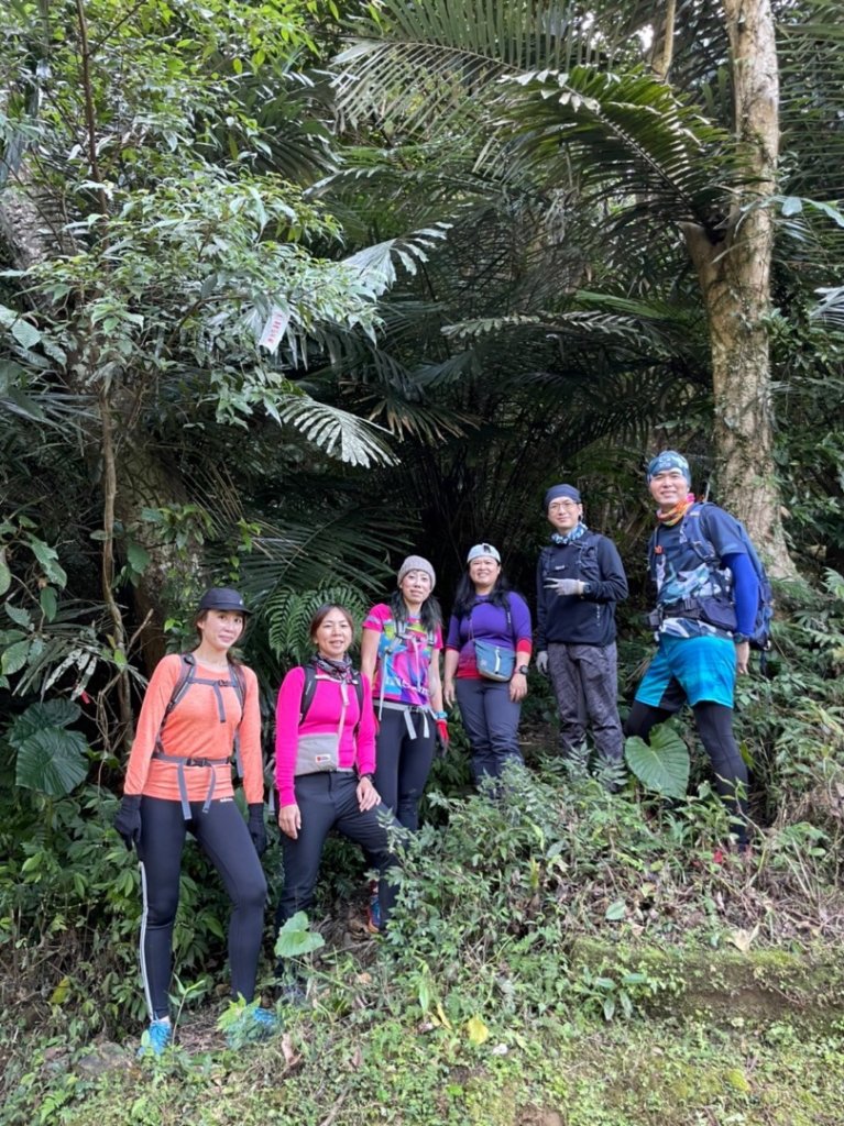 大溪金面山_1967436