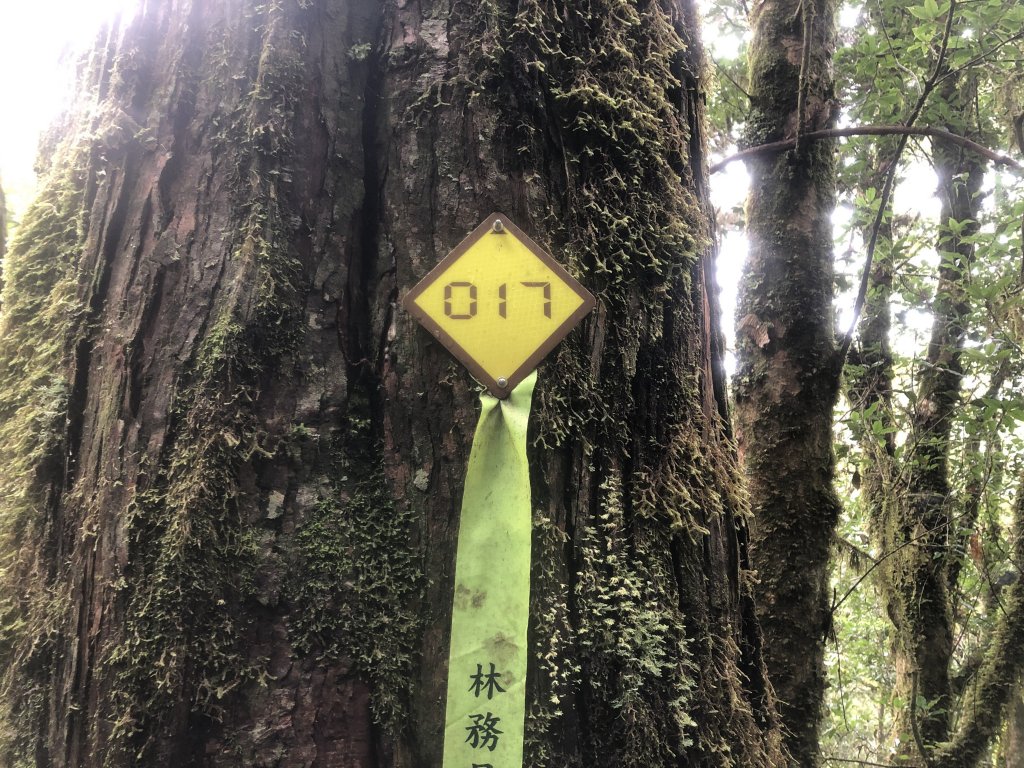 宜蘭 四季 加羅湖_633848