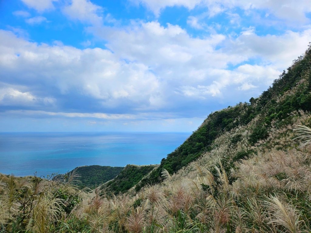 芒花盛開-煙囪稜 黃金洞 半屏山 燦光竂O型_2357570