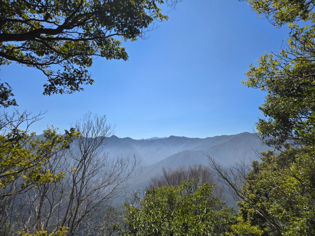 油羅山_3014870
