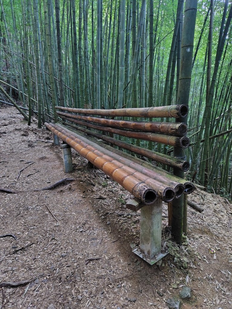 長壽山、肥崠山、醜崠山、大崠山、大崠山經建版_2931548