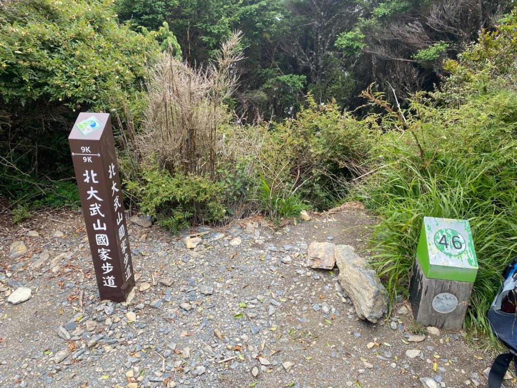 金牌兄弟療癒之旅 一日單攻北大武山_2834047