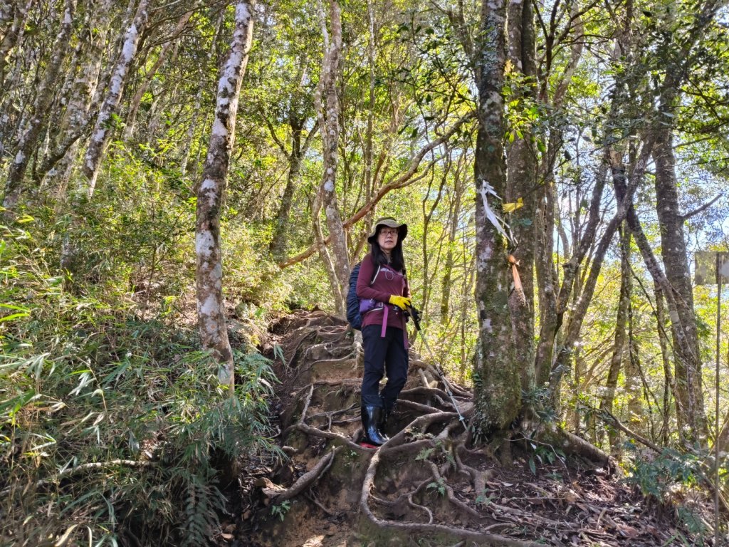 高島縱走20250215_2713773