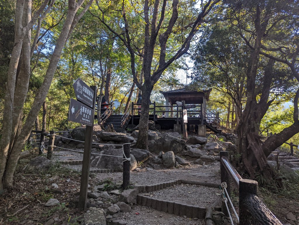 谷關七雄：有點硬陡的波津加山（捎來吊橋進、谷關吊橋出）_1861384