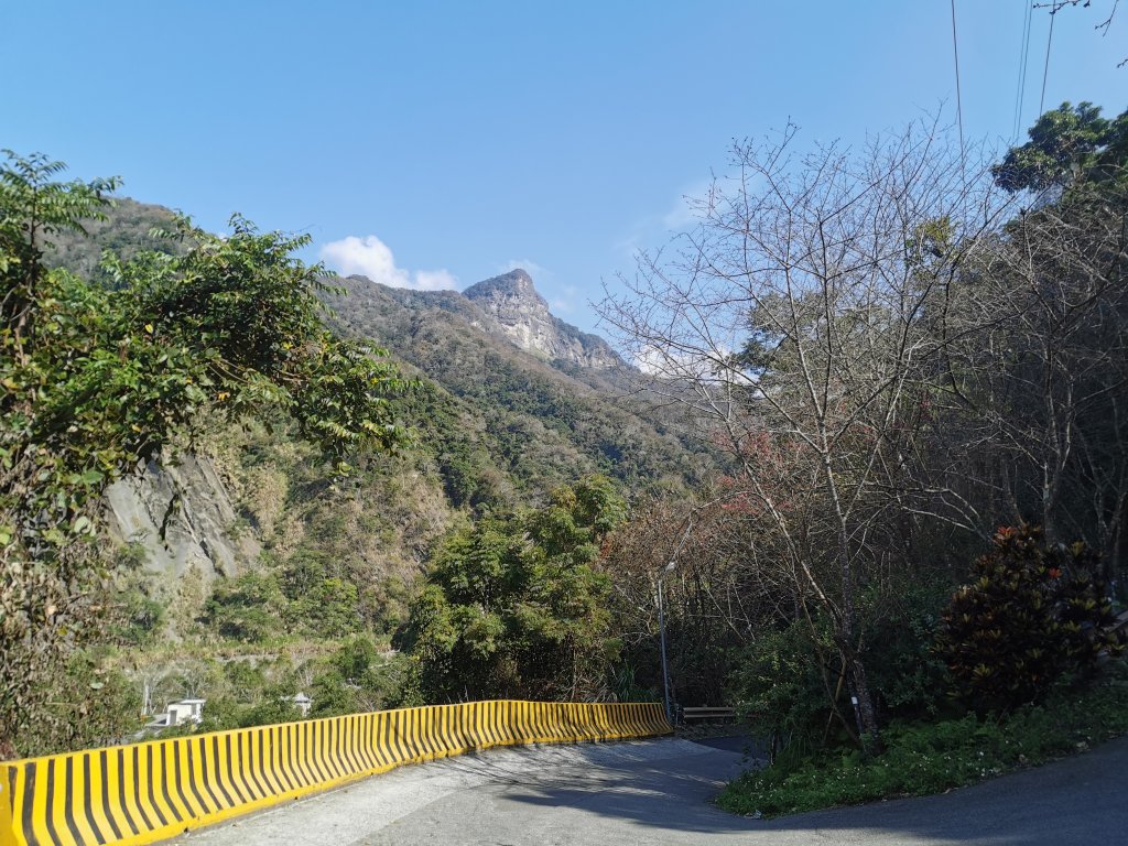 步道巡訪員│鳥嘴山步道 1 月巡訪日誌封面圖