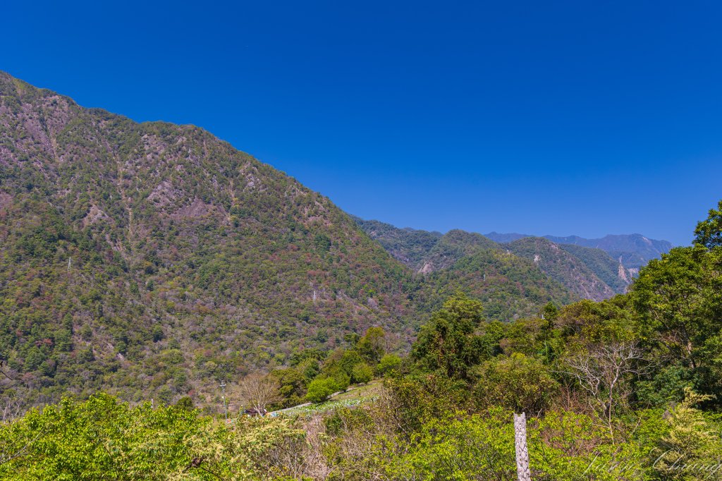 谷關七雄_唐麻丹山_3015606