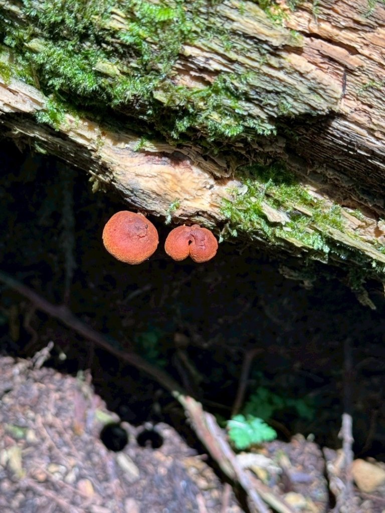 民都有山_2844984