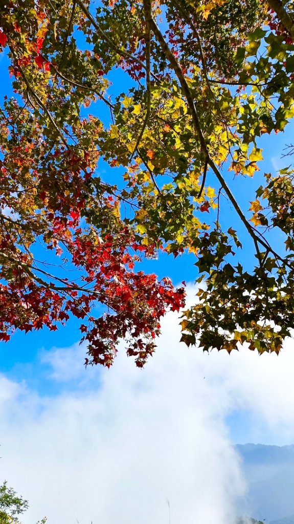 馬那邦山O走_2370063