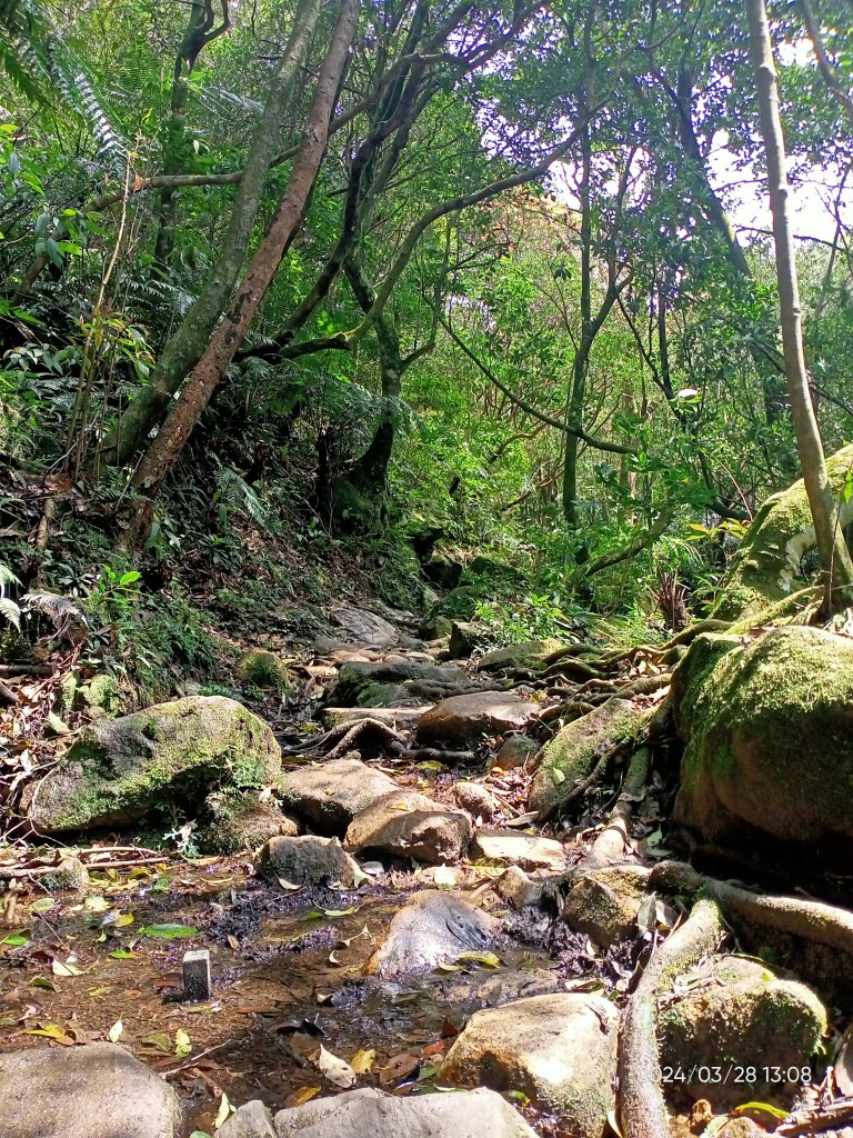 【臺北大縱走4】風櫃嘴→雙溪溝古道→五指山古道→大崙頭山北面步道→許願步道→圓覺寺步道→大溝溪→大湖_2469086