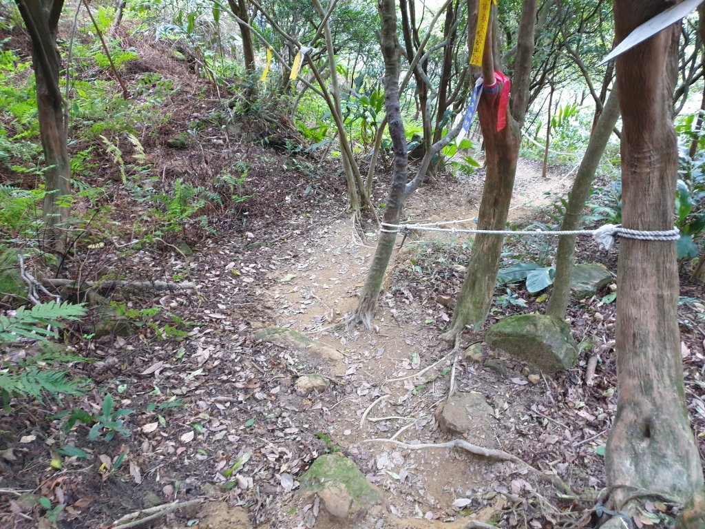 南子吝步道、劍龍稜鋸齒稜、無耳茶壺山、煙囪稜_1558180