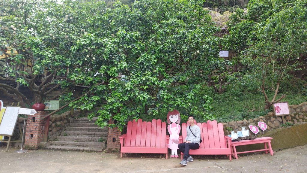 小百岳NO.5觀音山 牛港稜步道  硬漢嶺   楓櫃斗湖登山步道_2090126