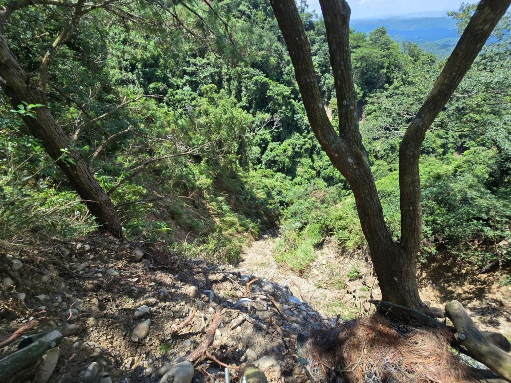 台中大坑四號登山步道（毀損）_2563653