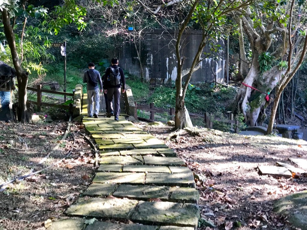 桃源谷山海遊蹤_516923