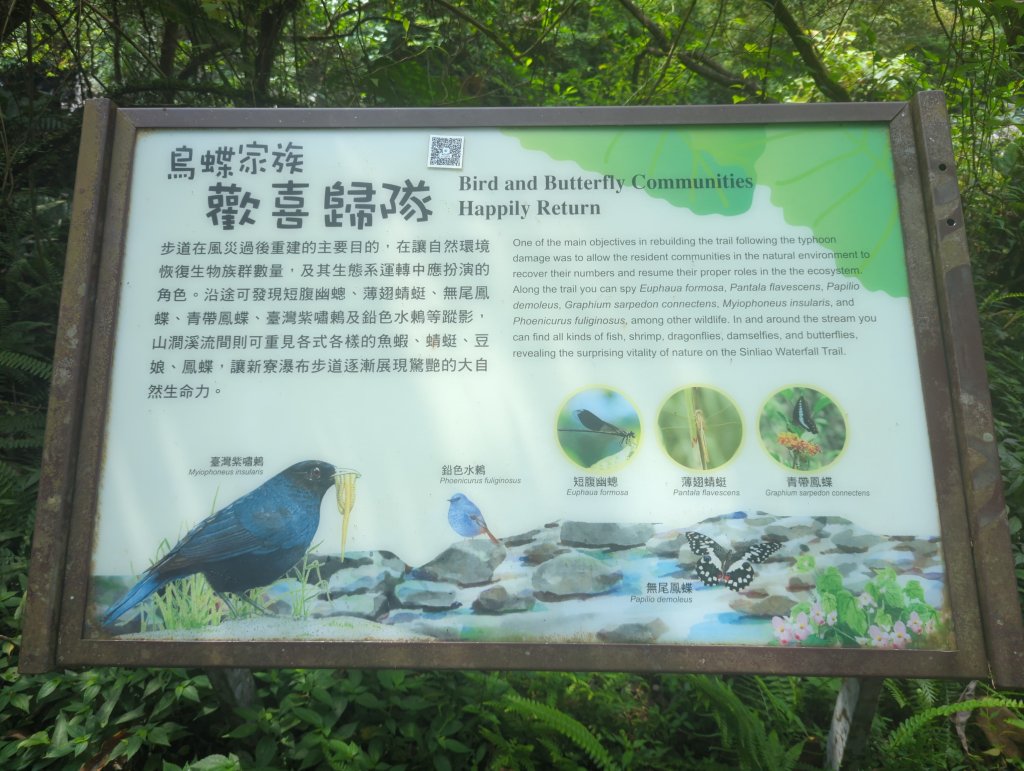 2025.08.09－新寮瀑布_2856181