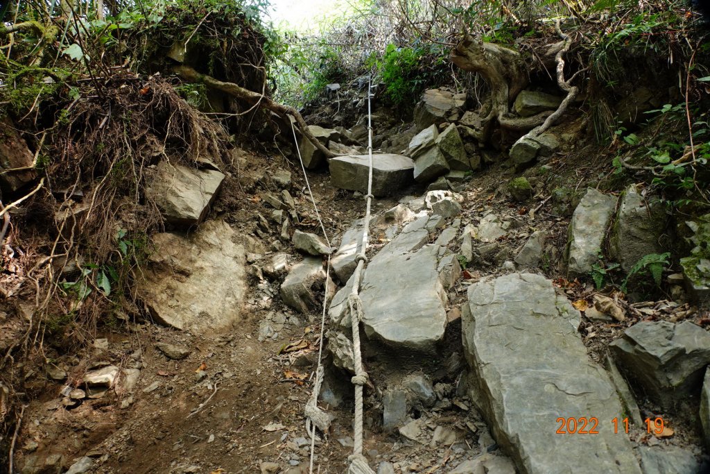 南投 信義 西巒大山_1922285