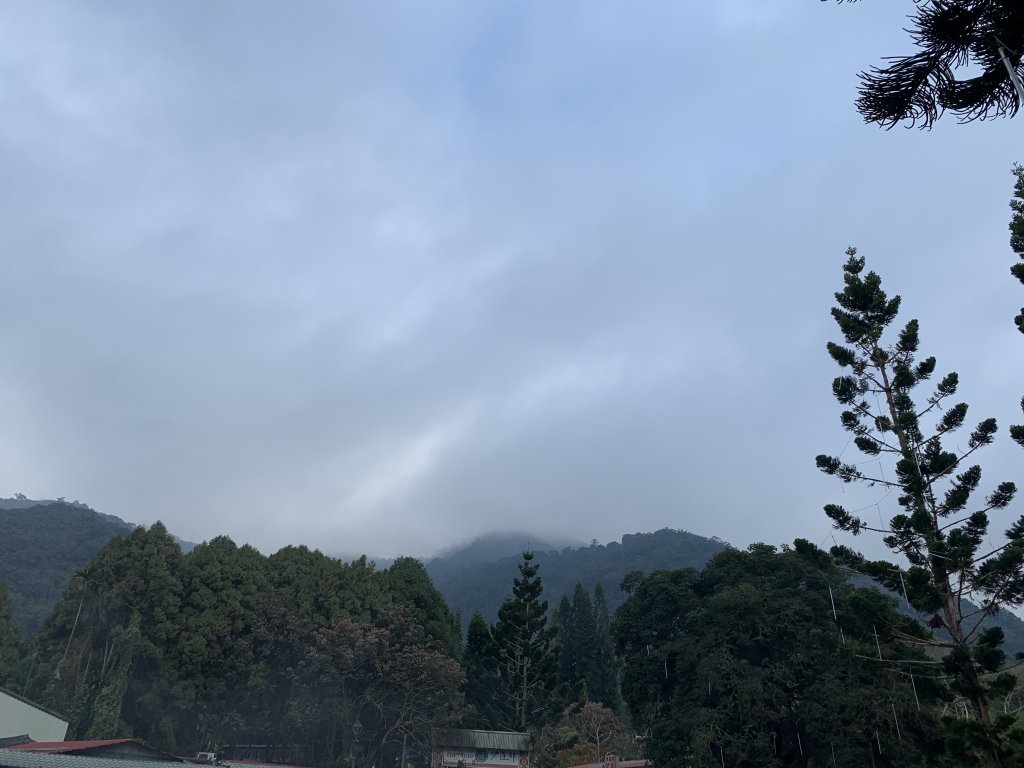 【中級山】新年走訪水社大山_2071918