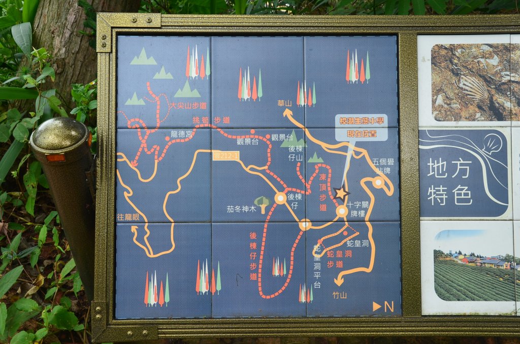 後棟仔山_1230505