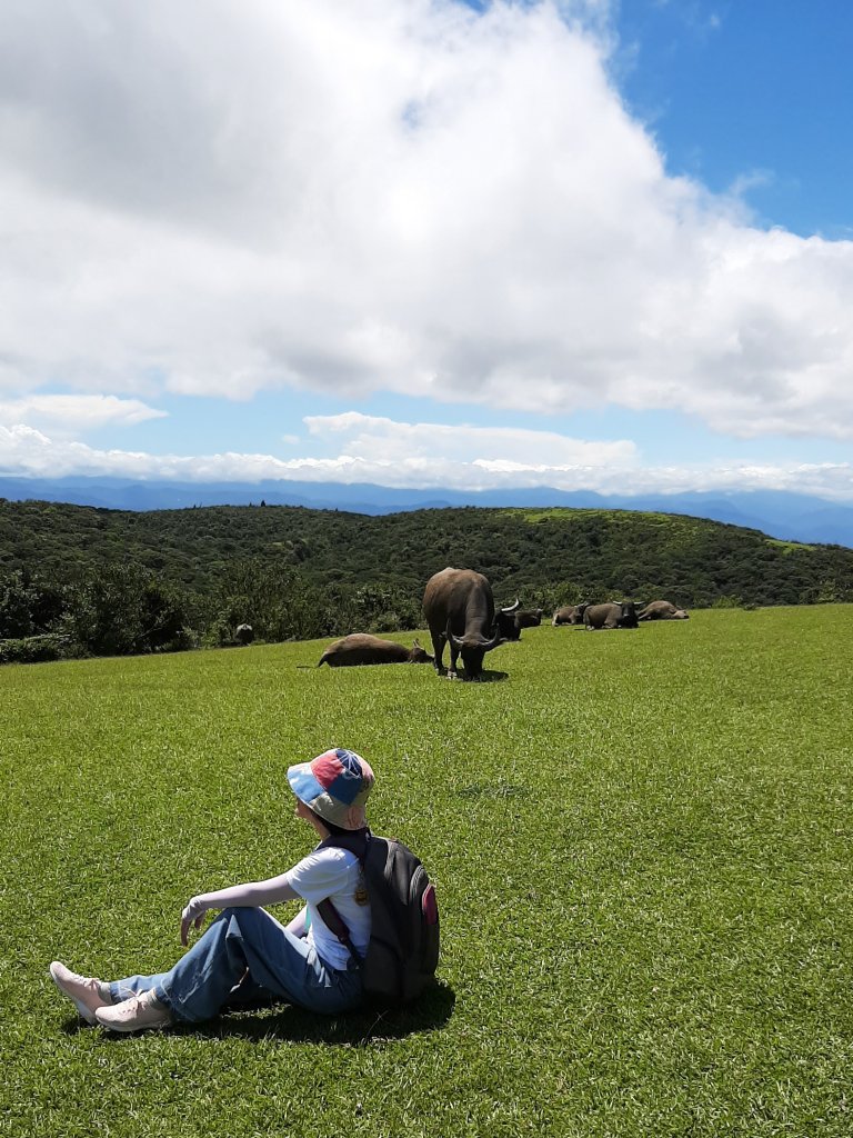 臺北大縱走3：擎天崗、頂山石梯嶺步道_669928