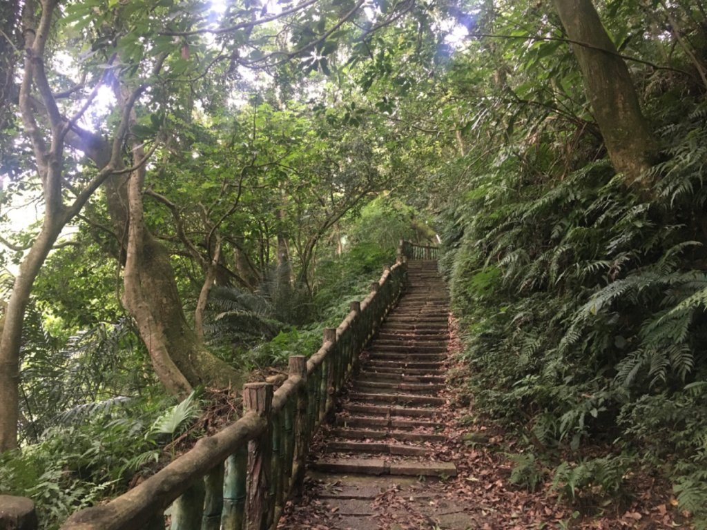 石小佛（石門山、小粗坑、佛陀世界_2516599