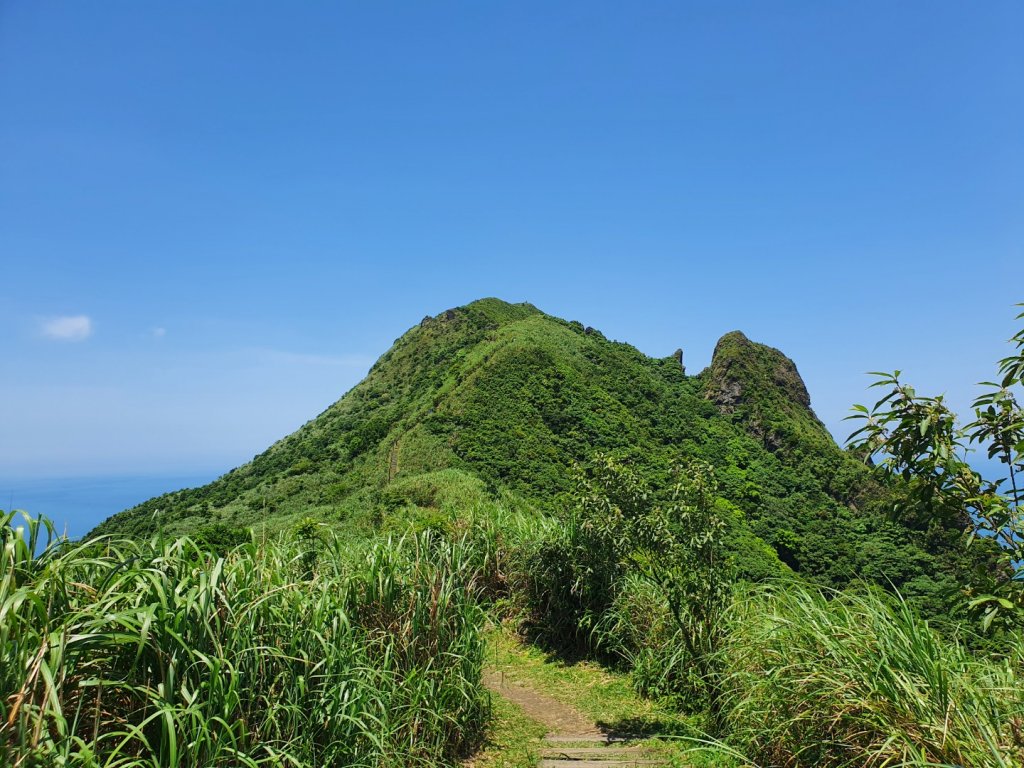 半平山登山步道封面圖