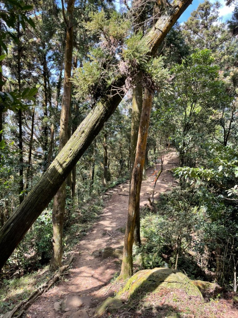 小百岳No.033仙山_1635417