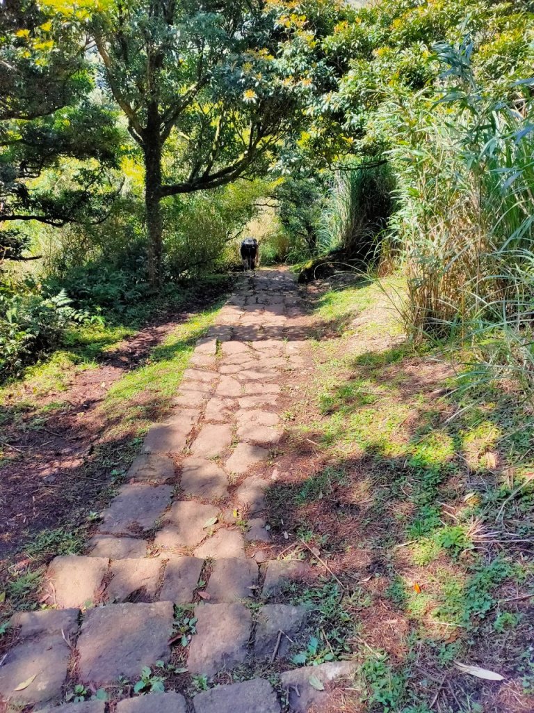 大屯山泥巴滑溜溜_914382