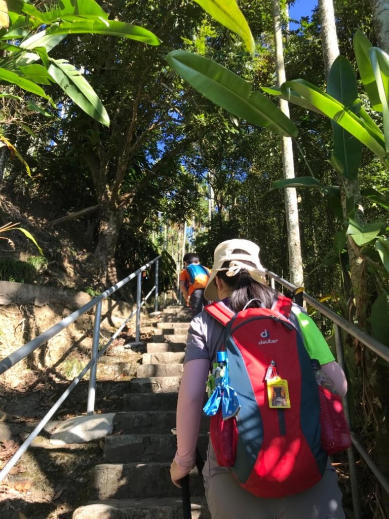 樟腦寮車站上獨立山奉天岩泡茶煮泡麵大巃頂看群峰美景_469863