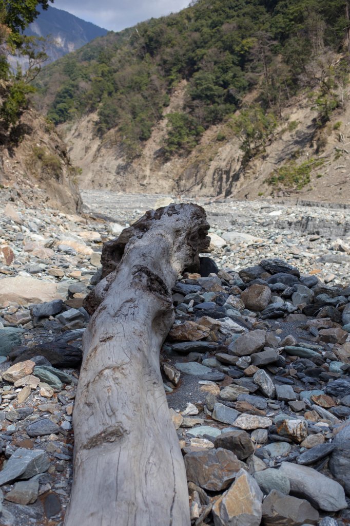 【高雄】多尾蘭山+玉穗山_870517