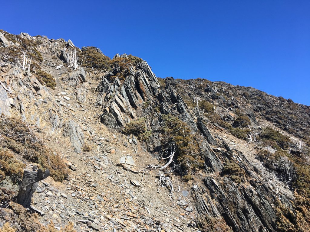 八通關山、八通關山西峰、秀姑巒山_526229