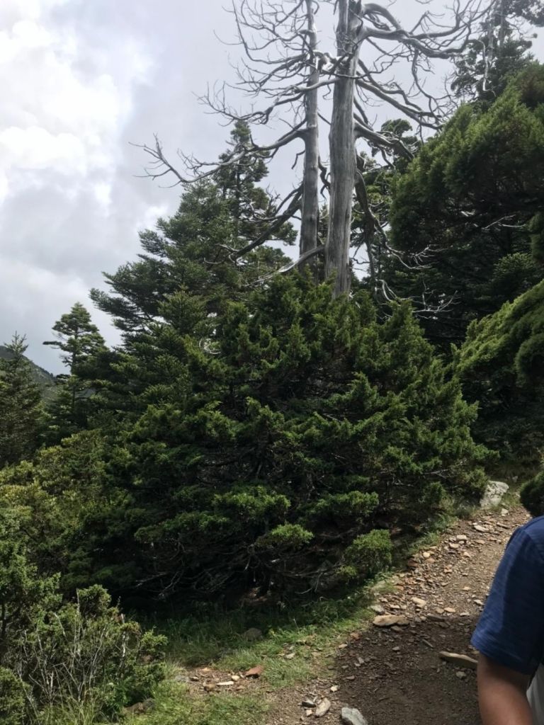 雪山主峰東峰單攻_379186