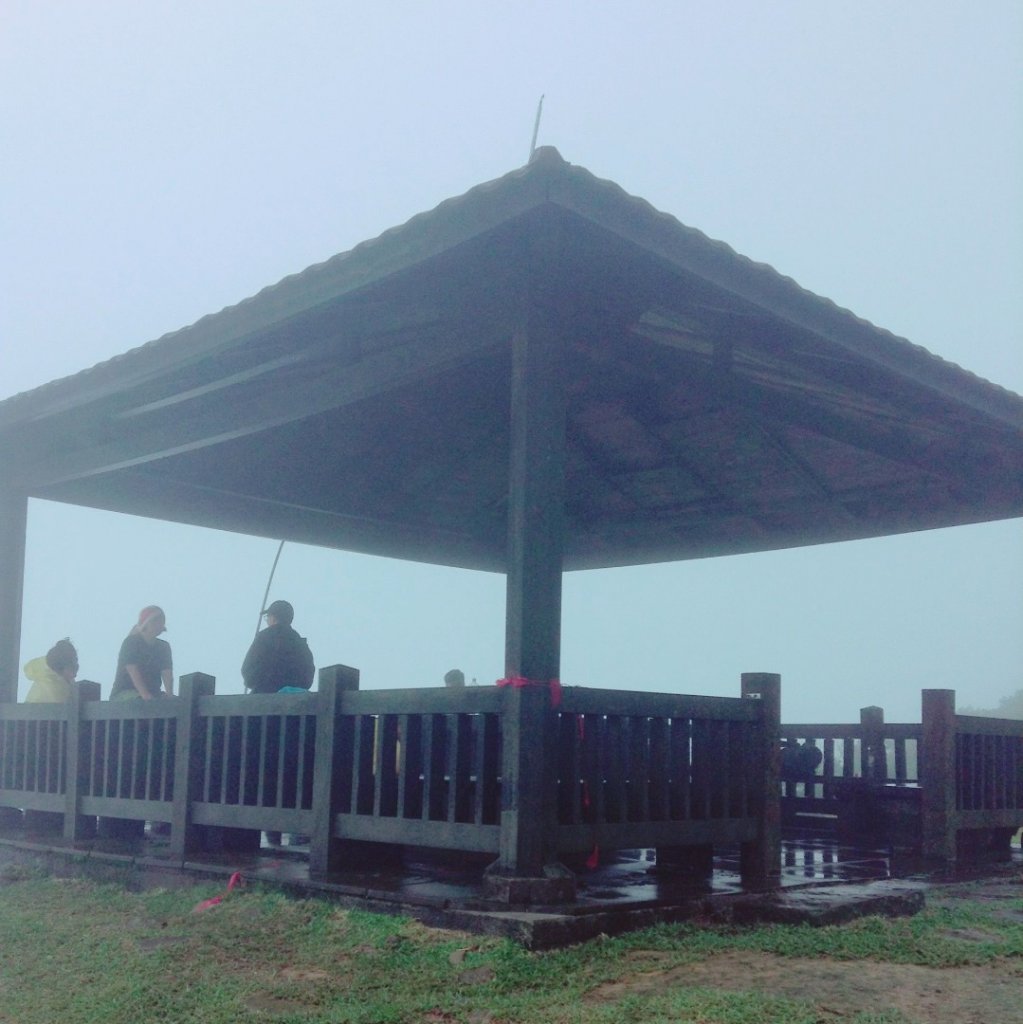 迷霧中的芒花海【草嶺古道】_454047