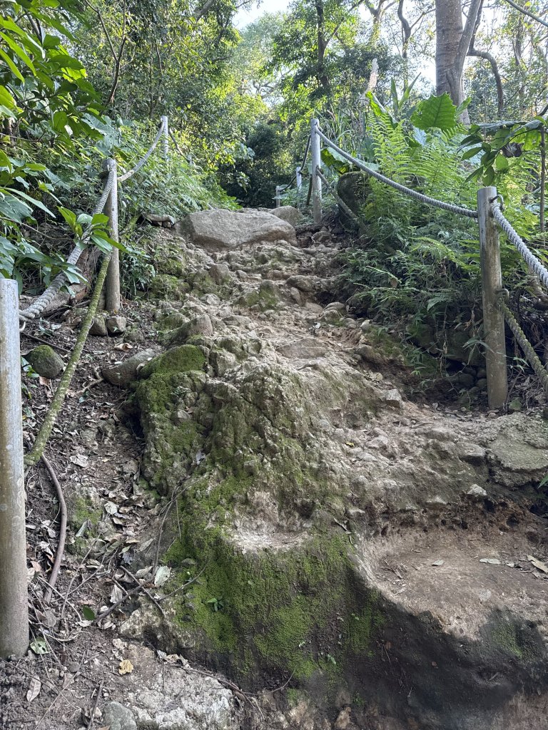 20250323台北大縱走第一段_2745487