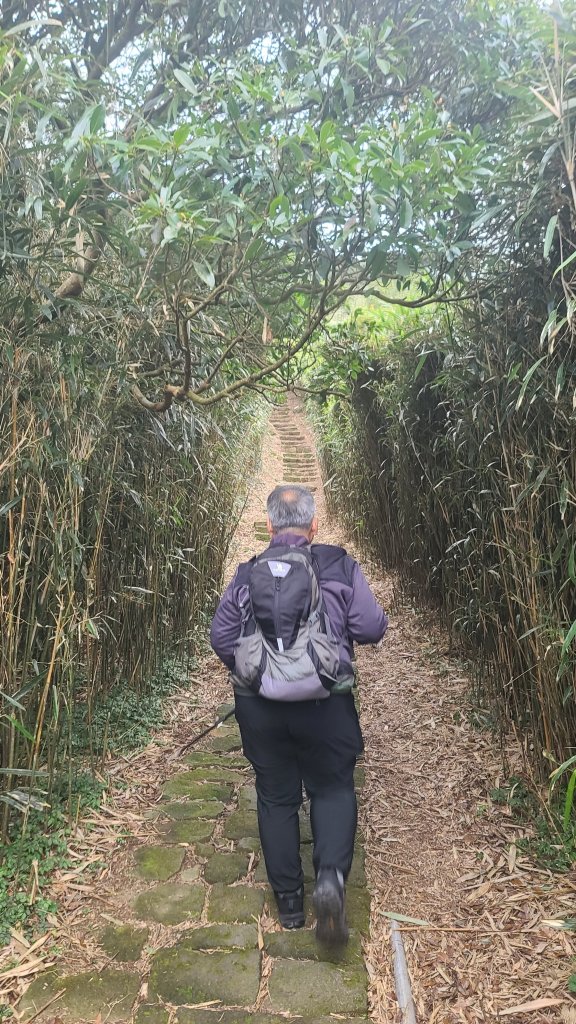 2026-0116 大屯三山_貴子坑_北投_2984833