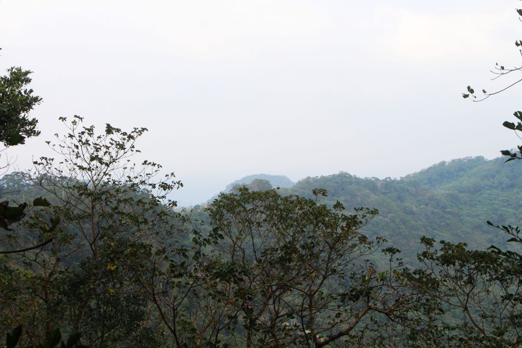 南庄 景點多 ~ 走吧 ! 登山健行休閒旅遊 ..._223477