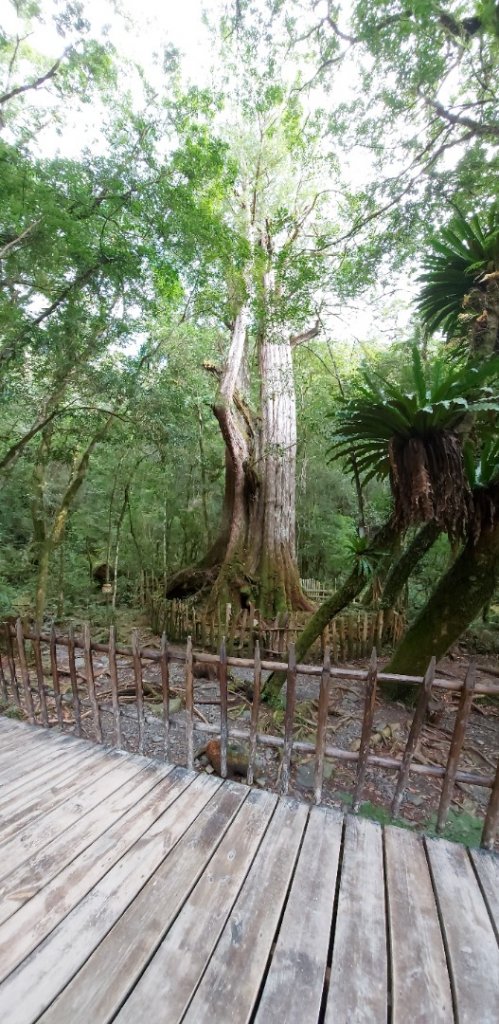 司馬庫斯20220216_1618113