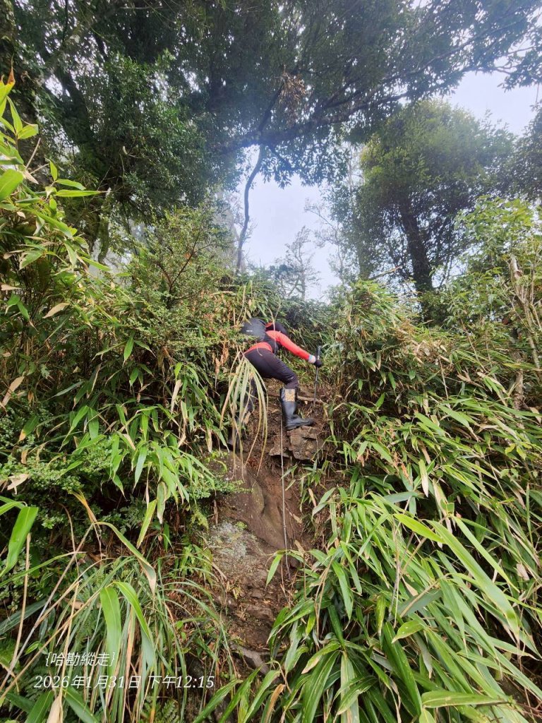 哈加縱走_2991958