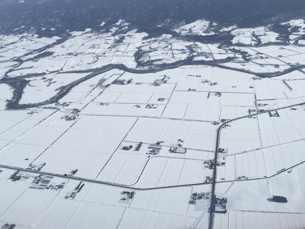 北海道------雪祭_3001902