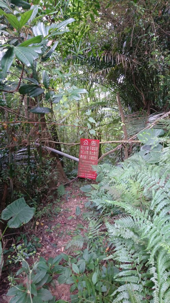 獅山古道(猿山步道+藤坪步道+六寮古道)_405430