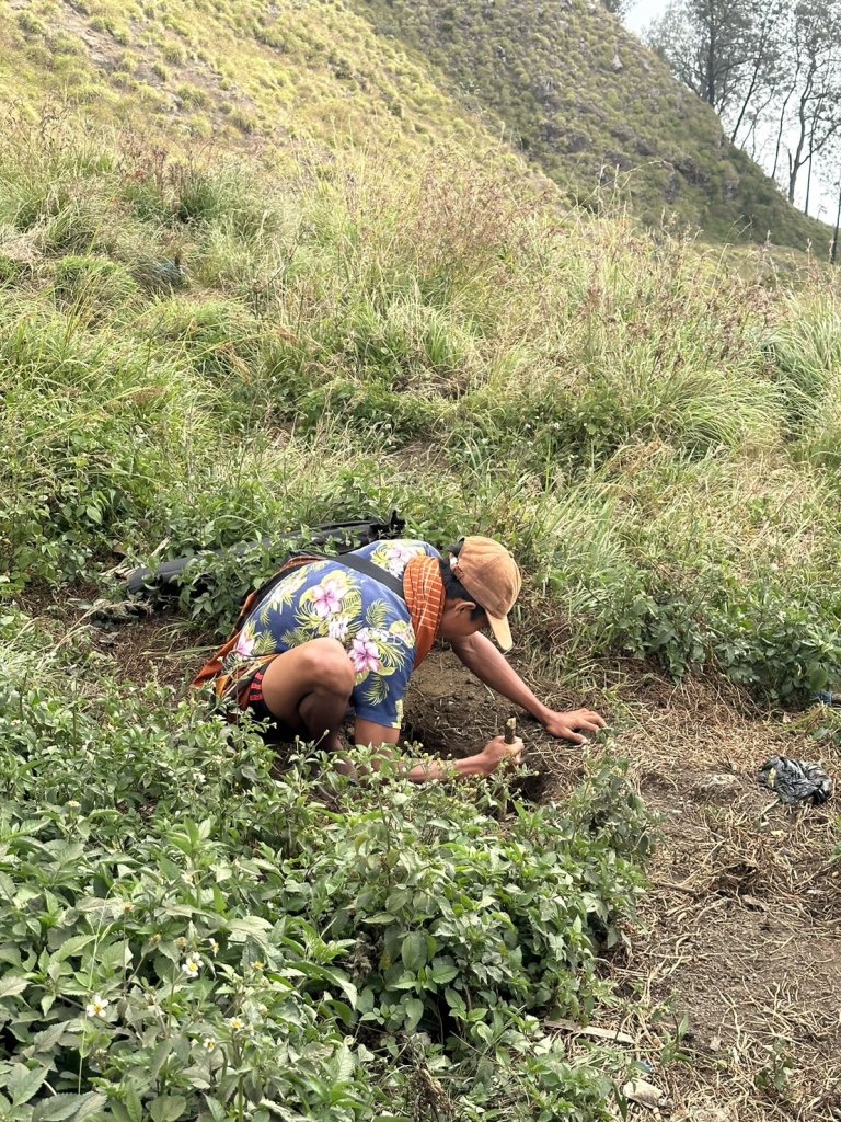 林賈尼火山之旅_2531540