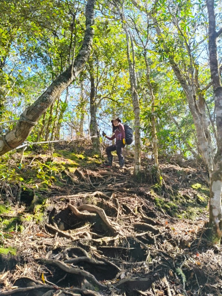 高島縱走20250215_2713775