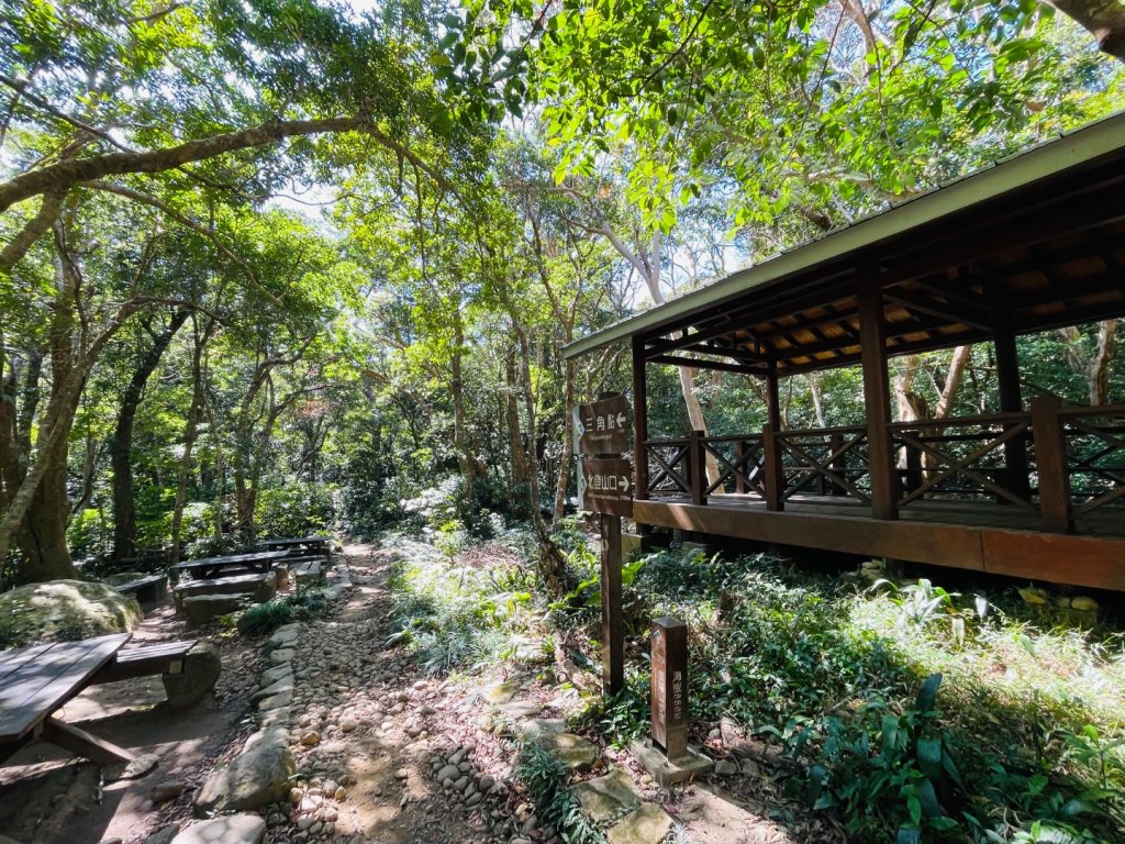 1150123里龍山_2986696