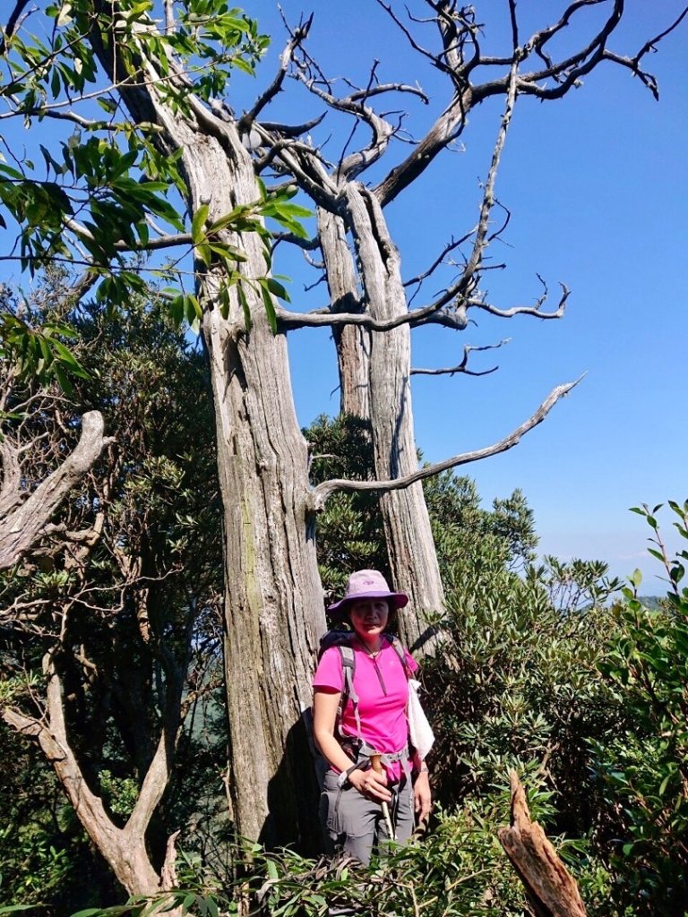 貴妃山、那結山O走_1478307